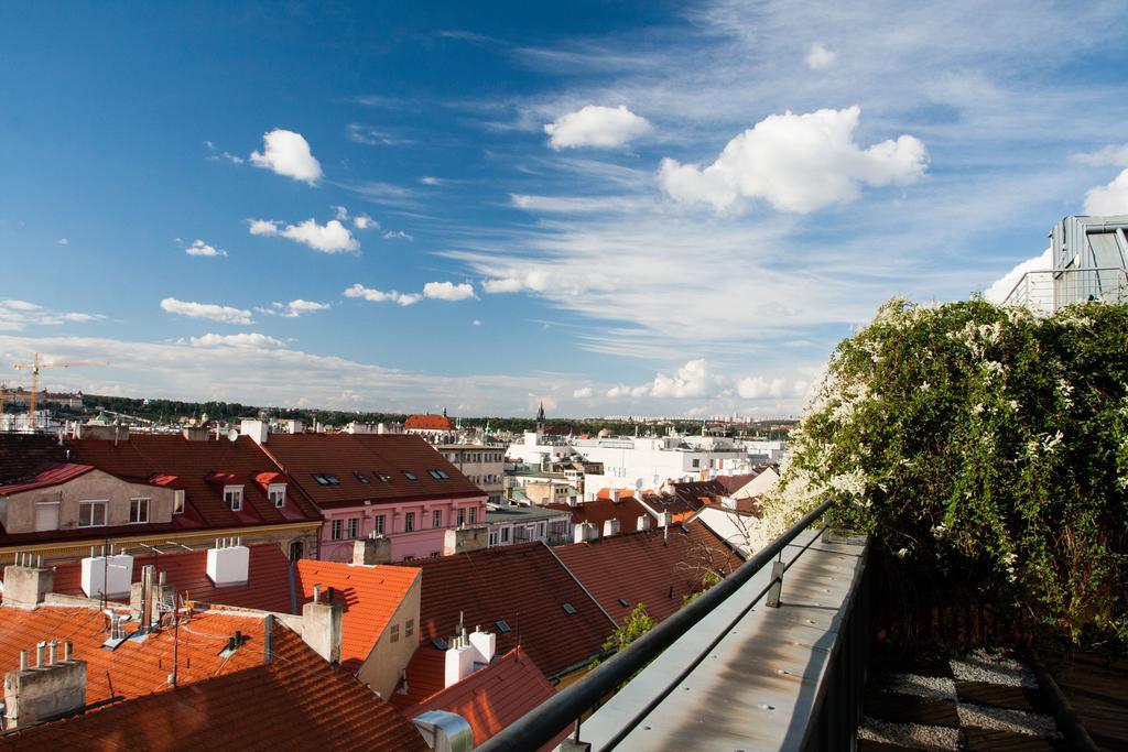 Wenceslas Square Lofts Prag Rum bild